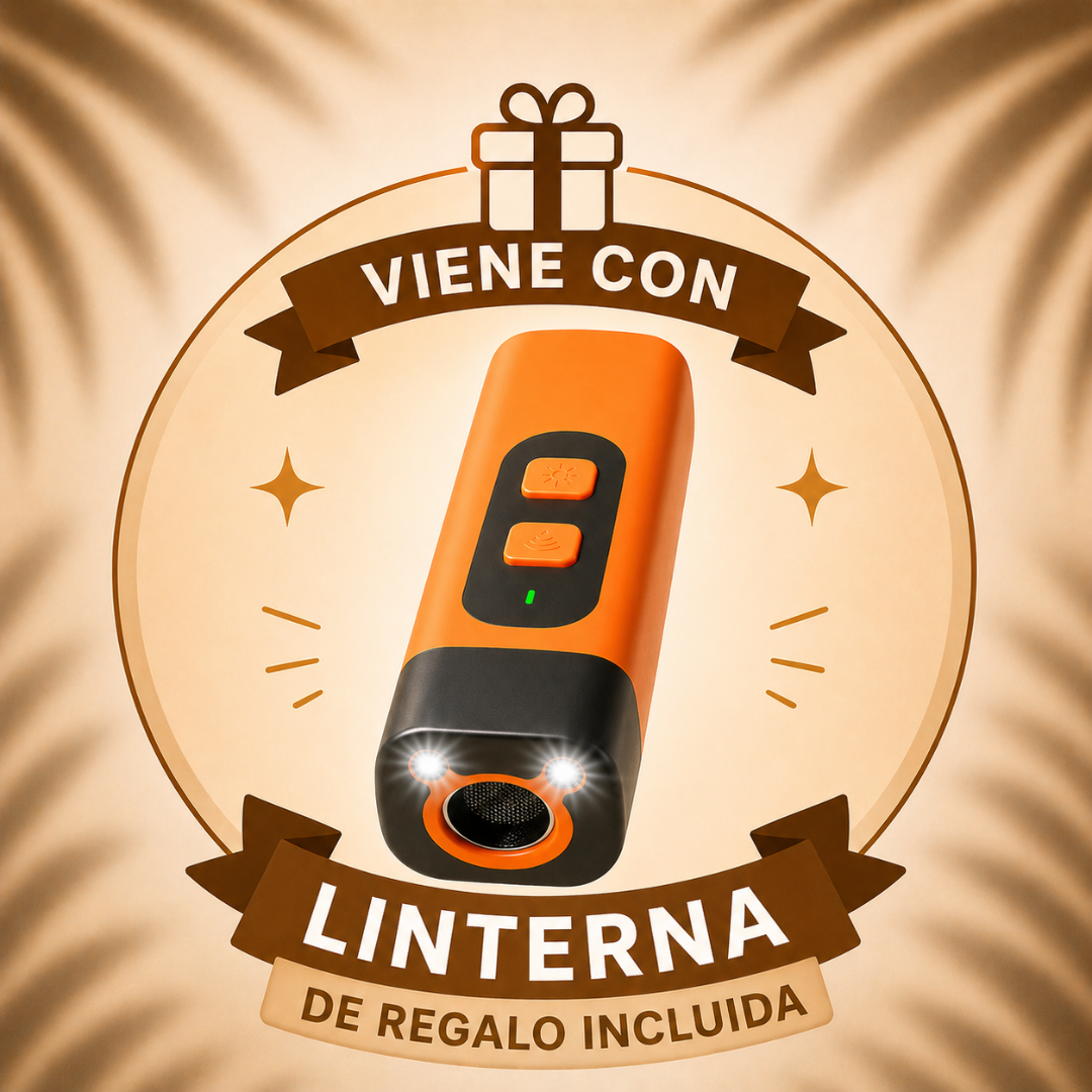 🔦 Linterna